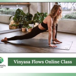 Vinaya Flows - Daily Yoga Class